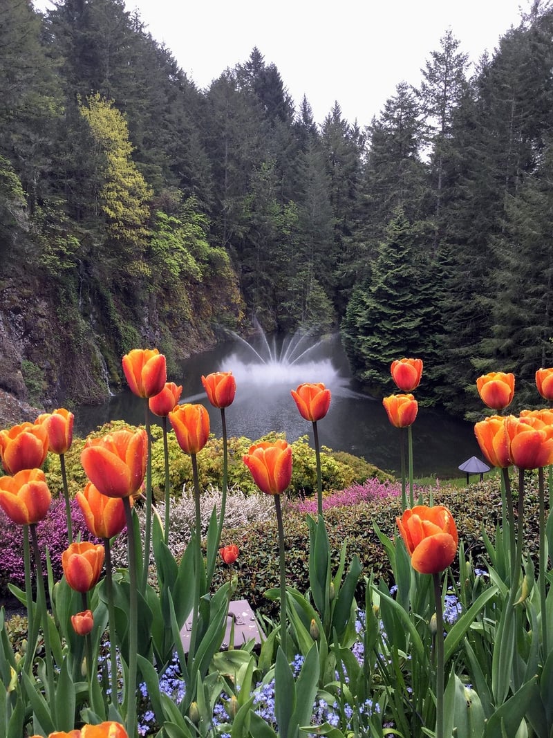 Butchart Gardens Pavilion, Canada